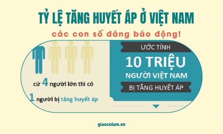 T L T Ng Huy T P Vi T Nam Con S Ng B O Ng