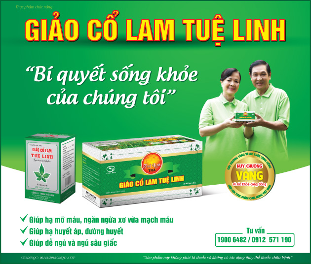 Tác dụng chính của Giảo cổ lam là gì trong việc điều trị huyết áp cao? 
