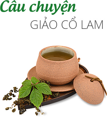 Câu chuyện GIẢO CỔ LAM