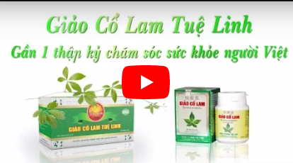 Phóng sự: Trà Giảo Cổ Lam Tuệ Linh