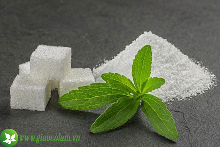 duong-stevia