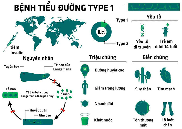 tieu-duong-type-1