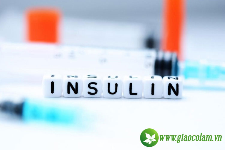 Insulin