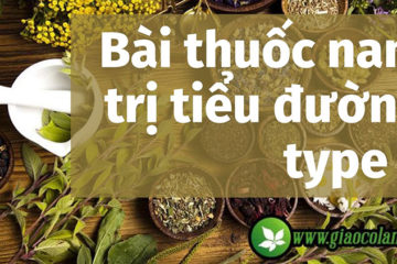 thuoc-nam-tri-tieu-duong