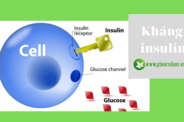 khang-insulin