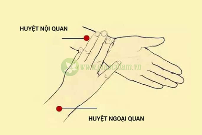 cao huyết áp bấm huyệt nào