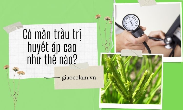 Có những loại sản phẩm nào khác được làm từ cỏ mần trầu ngoài y học?