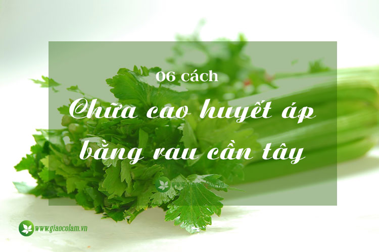 Có nên tiêu thụ rau cần tàu hàng ngày để hạn chế nguy cơ cao huyết áp? 
