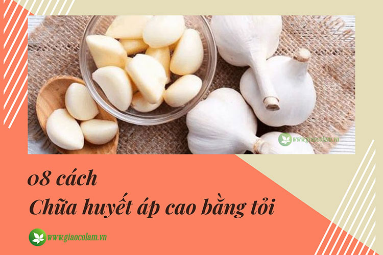 chữa huyết áp cao bằng tỏi