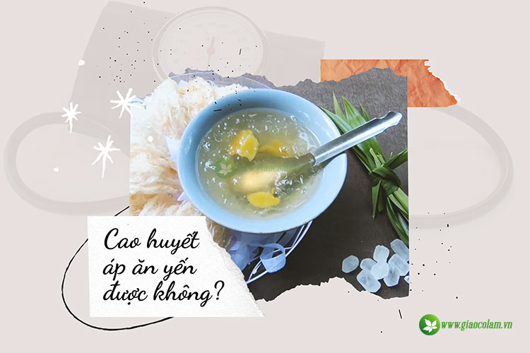 cao huyết áp ăn yến được không?