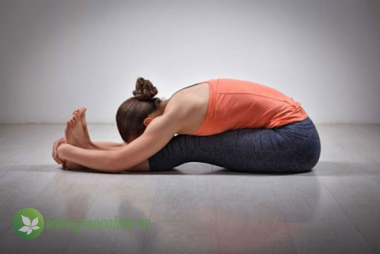 bài tập yoga chữa bệnh tiểu đường