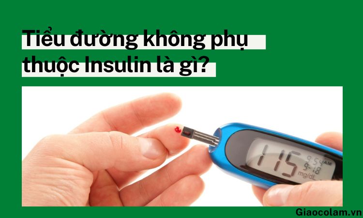 Khác biệt giữa tiểu đường phụ thuộc insulin và tiểu đường không phụ thuộc insulin?
