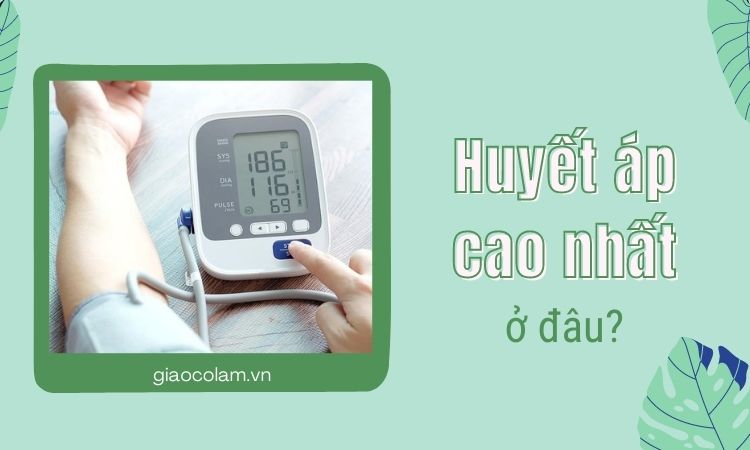 Những điều cần biết về huyết áp thấp nhất ở để giảm nguy cơ bị bệnh tim mạch