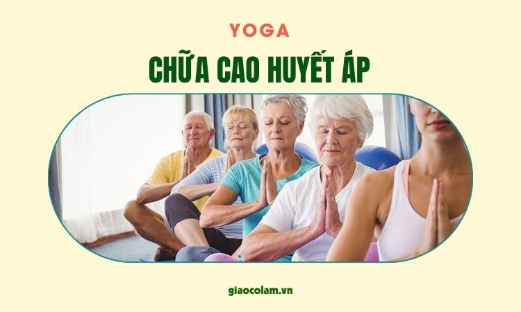 Những tư thế yoga nào phù hợp cho người bị huyết áp thấp?
