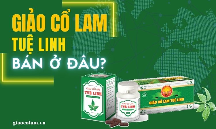 Chỉ định và cách sử dụng mua giảo cổ lam ở đâu cho hiệu quả tốt nhất