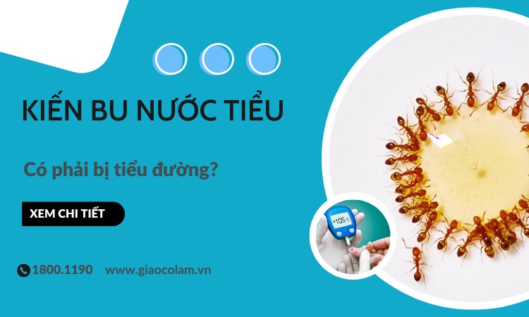 Nếu không phát hiện và điều trị kịp thời, hậu quả của tiểu đường sẽ như thế nào?